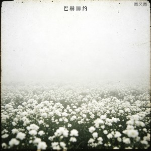 巴赫旧约-虚拟泪