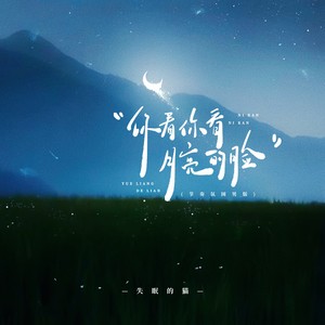 你看你看月亮的脸 (节奏氛围男版)