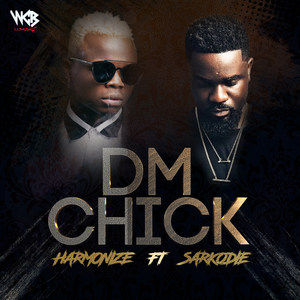 DM Chick(feat. Sarkodie)