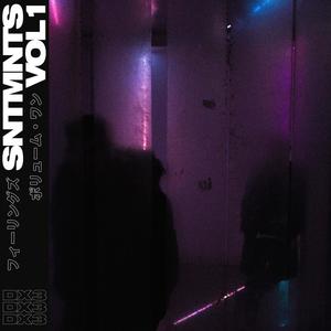 SNTMNTS VOL 1