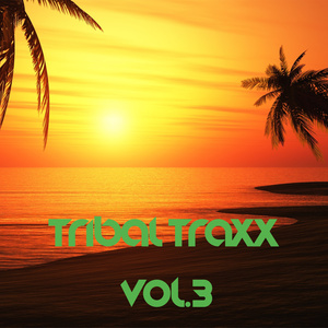 TRIBAL TRAXX VOL.3