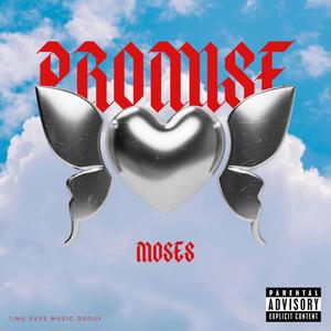 PROMISE (Explicit)