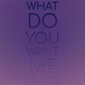 What Do You Want Me Toune