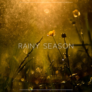 Rainy Season