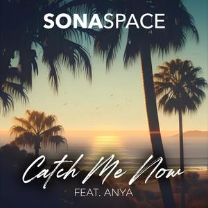 Catch Me Now (feat. Anya)
