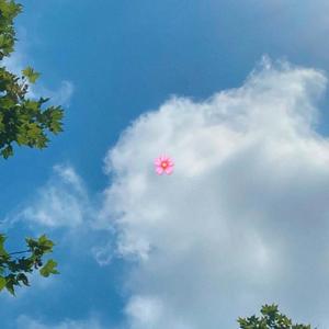 Comodín (feat. Jaloner) (Explicit)