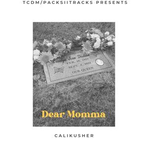 Dear Momma (Explicit)