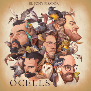 OCELLS