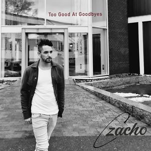 Too Good At Goodbyes
