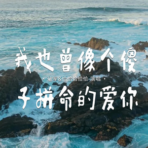 我也曾像个傻子拼命的爱你