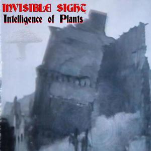 Invisible Sight (Single Version)