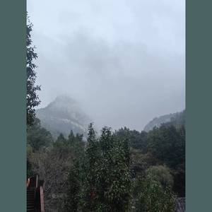 梨雪归尘 - 鍗芈亿有封面