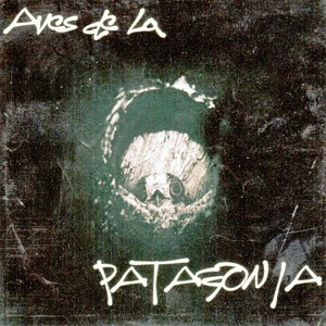 Aves de la Patagonia V