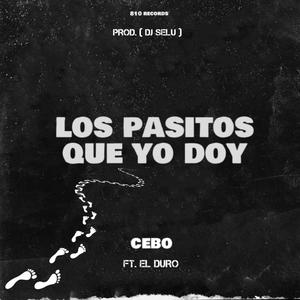 LOS PASITOS QUE YO DOY (feat. EL DURO) [Explicit]