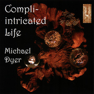 Compli-intricated Life