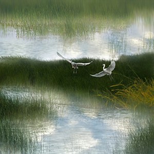 逆流