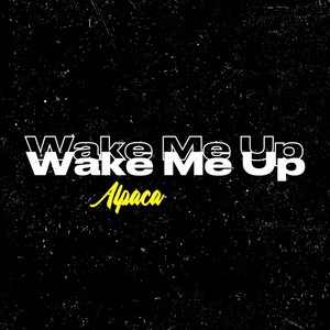 Wake Me Up