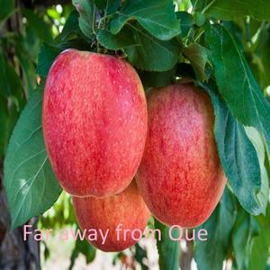 Far away from Que