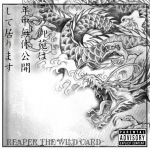 Dragon Wrath= (Explicit)