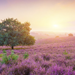 和平分手 (伴奏)
