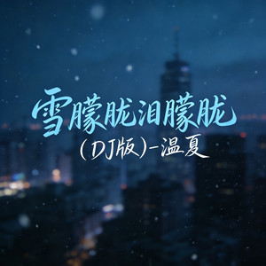 雪朦胧泪朦胧 (DJ版)