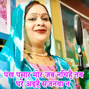 Pankh Pasar Mor Jab Nachihai Tab Ghare Aihai Sajanva N