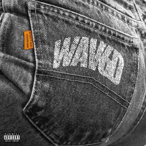 WAV6D (Explicit)