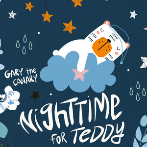 Nighttime for Teddy