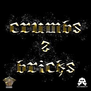 Crumbs 2 Bricks (feat. Trae tha Truth) [Explicit]