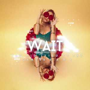 Wait (Explicit)