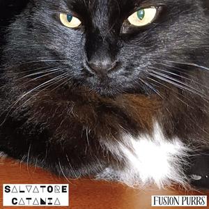 A moment like forever