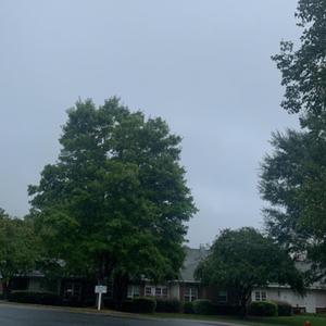 I almost killed myself yesterday (feat. AVISHM) (Explicit)