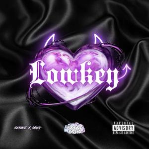 Lowkey (feat. MNA) (Explicit)