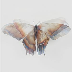 Dream All Summer (Deep Phonk)