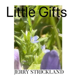 LITTLE GIFTS