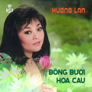 Bông Bưởi Hoa Cau (Remastered)