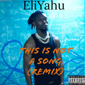 This Is Not A SOng (Explicit)