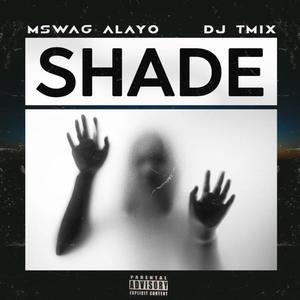 Shade Remix (Explicit)