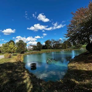 MAKE IT GROW (V2) (Radio Edit|Explicit)