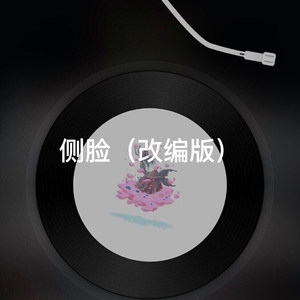点歌的人 (改编版)