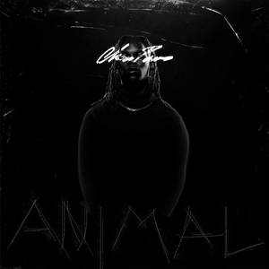ANIMAL (Explicit)