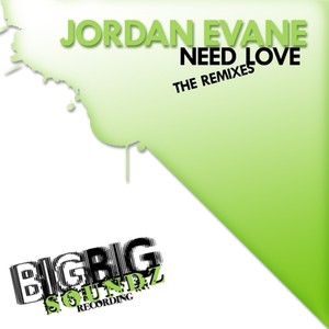 Need Love (The Remixes)