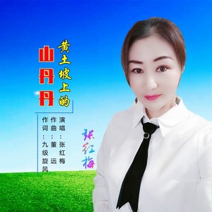 黄土坡上的山丹丹