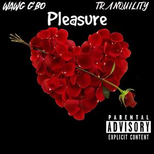 Pleasure (feat. Tranquility) [Explicit]