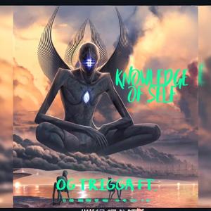 Knowledge Of Self (feat. Cappadonna) (Explicit)