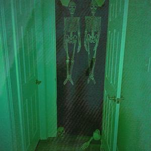 DONT MIND THE SKELETONS IN MY CLOSET