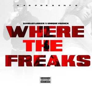 Where The Freaks(feat. Unique Musick) (Radio Edit)