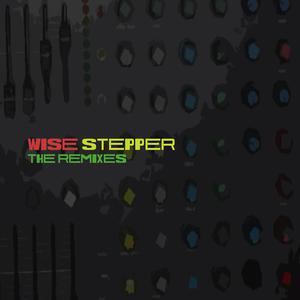 Wise Stepper The Remixes