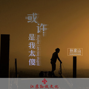 或许是我太傻 (DJ版)