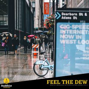 Feel the Dew - Soulful Abundance with Rain Nature Sounds, Vol. 9